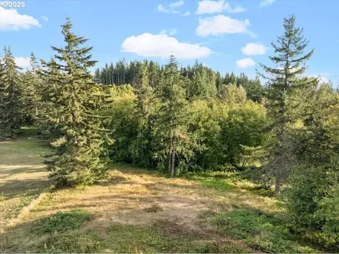 18817 NE 391st Street Amboy WA 98601