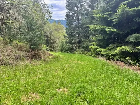 161 Whitney Court Umpqua OR 97486