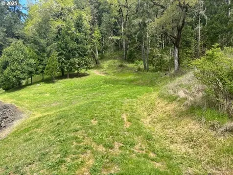 161 Whitney Court Umpqua OR 97486