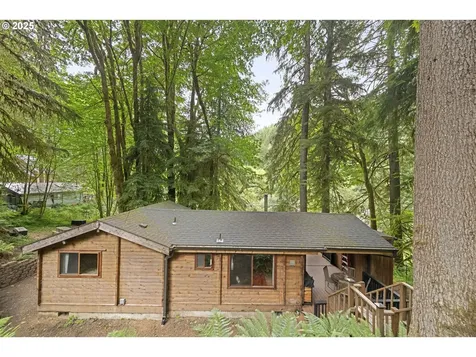 10251 Ridgview Terrace Birkenfeld OR 97016