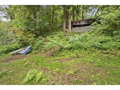 10251 Ridgview Terrace Birkenfeld OR 97016