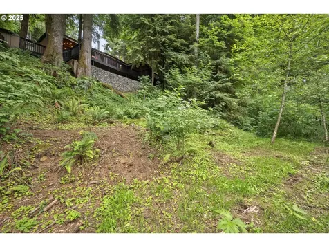 10251 Ridgview Terrace Birkenfeld OR 97016
