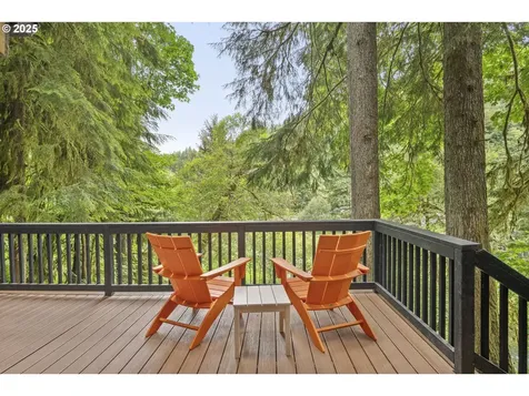 10251 Ridgview Terrace Birkenfeld OR 97016