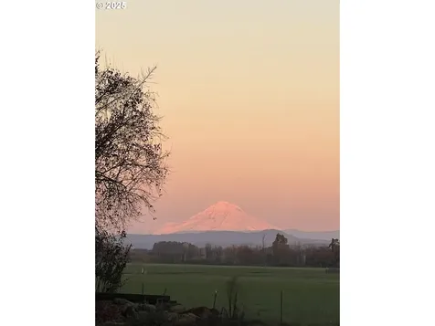 28408 S Needy Road Canby OR 97013