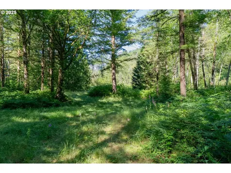 16102 Washougal River Road Washougal WA 98671