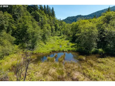 16102 Washougal River Road Washougal WA 98671