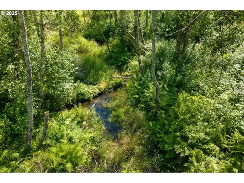 16102 Washougal River Road Washougal WA 98671