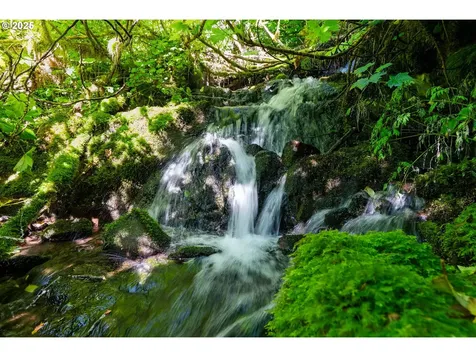 16102 Washougal River Road Washougal WA 98671