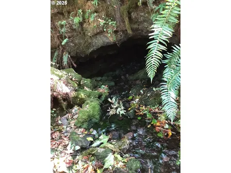 16102 Washougal River Road Washougal WA 98671