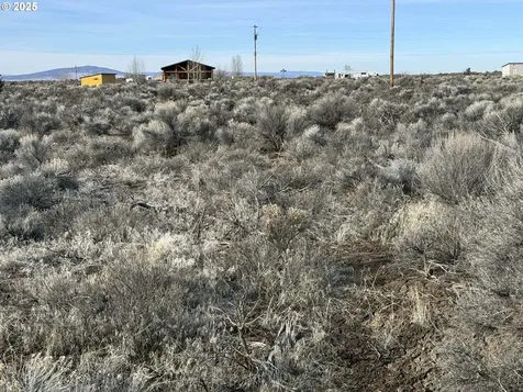 Fall Street Christmas Valley OR 97641