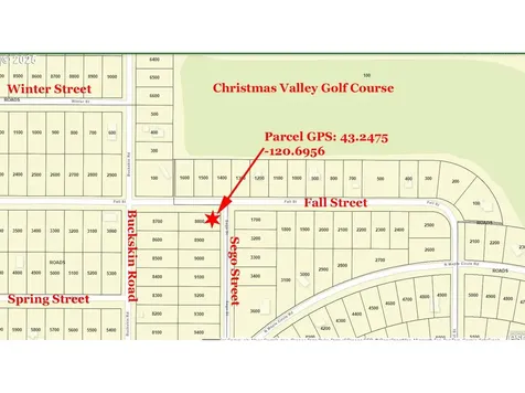 Fall Street Christmas Valley OR 97641