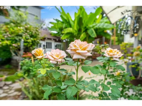 3835 SE Crystal Springs Boulevard Portland OR 97202