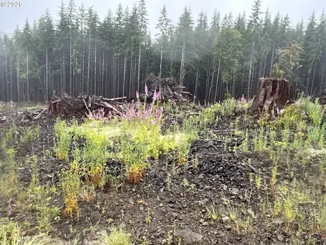 0 Ocean Beach Highway Skamokawa WA 98647
