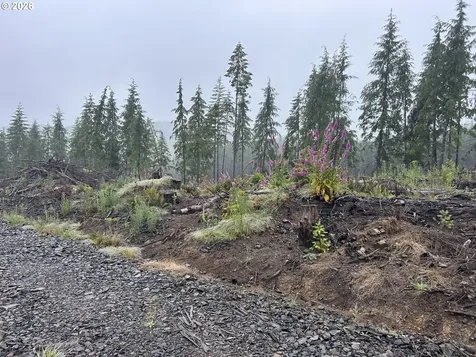 0 Ocean Beach Highway Skamokawa WA 98647