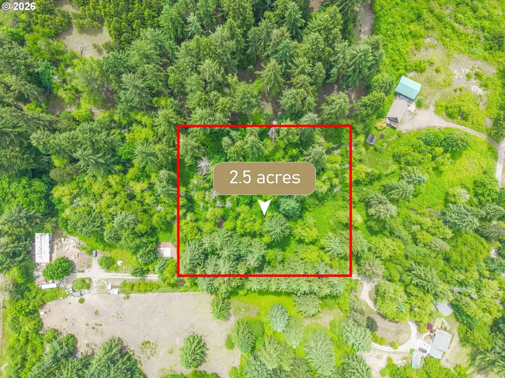0 Parcel 257387000 La Center WA 98629