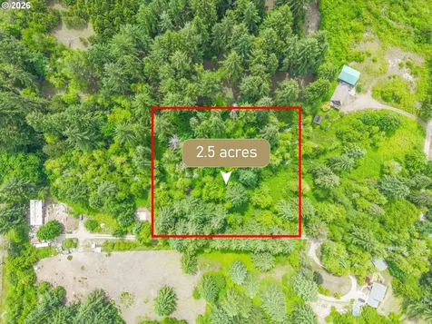 0 Parcel 257387000 La Center WA 98629