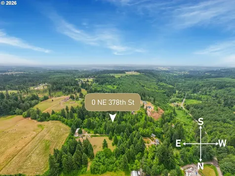 0 Parcel 257387000 La Center WA 98629