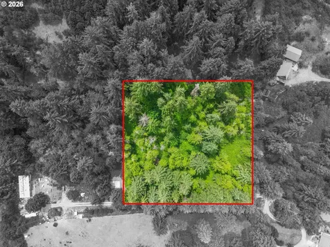 0 Parcel 257387000 La Center WA 98629