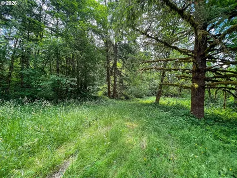 0 Parcel 257387000 La Center WA 98629