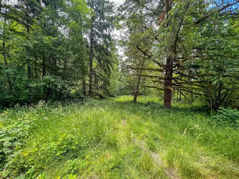 0 Parcel 257387000 La Center WA 98629