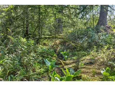 38225 Hiagua Lane N Nehalem OR 97131