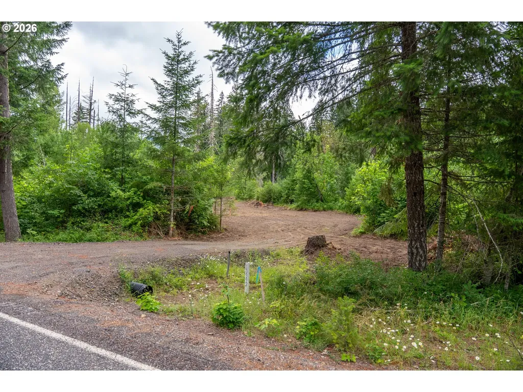 10392 Wind River Highway Carson WA 98610