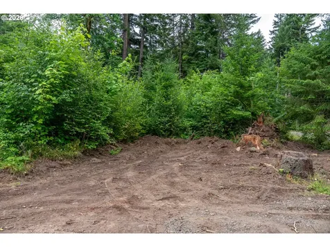 10392 Wind River Highway Carson WA 98610