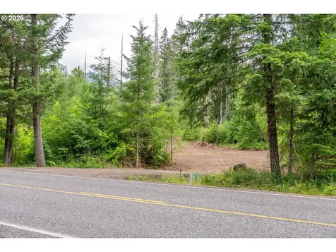 10392 Wind River Highway Carson WA 98610