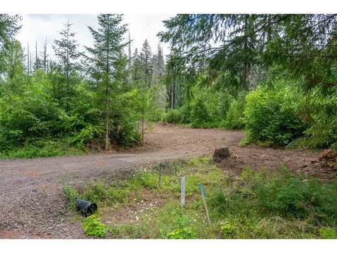 10392 Wind River Highway Carson WA 98610