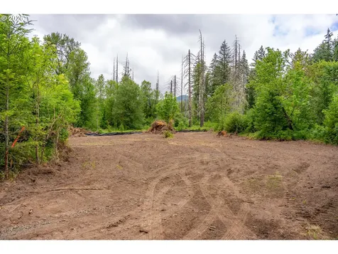 10392 Wind River Highway Carson WA 98610