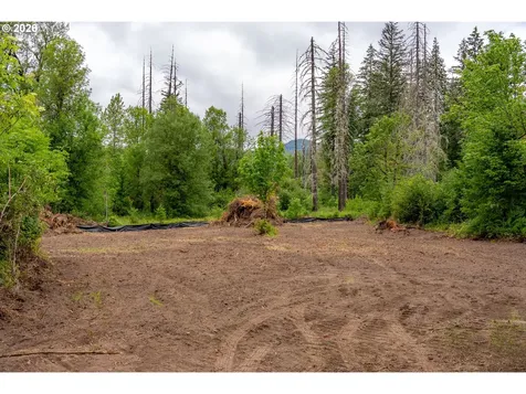 10392 Wind River Highway Carson WA 98610