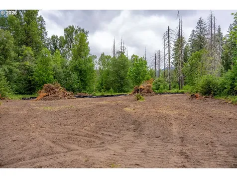10392 Wind River Highway Carson WA 98610