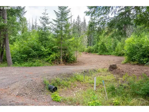 10392 Wind River Highway Carson WA 98610