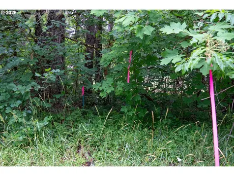 10392 Wind River Highway Carson WA 98610