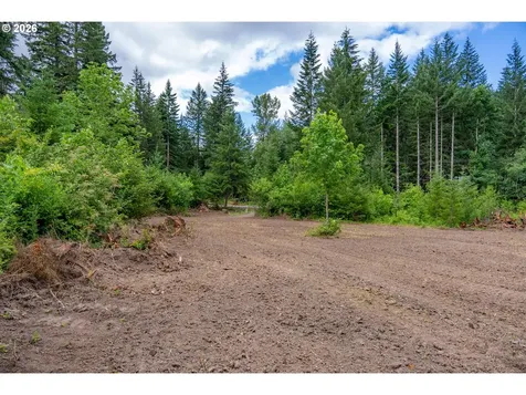 10392 Wind River Highway Carson WA 98610