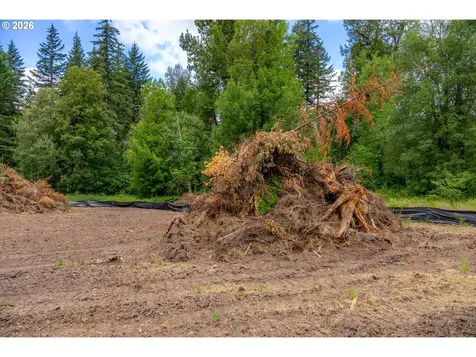 10392 Wind River Highway Carson WA 98610