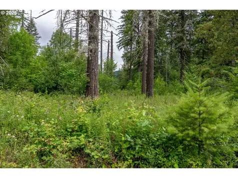 10392 Wind River Highway Carson WA 98610