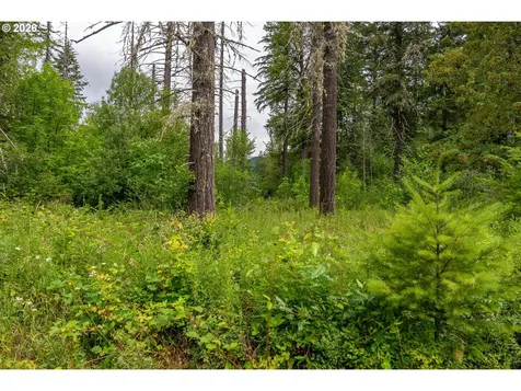 10392 Wind River Highway Carson WA 98610