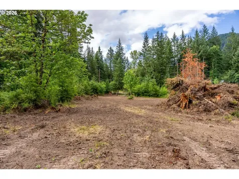 10392 Wind River Highway Carson WA 98610