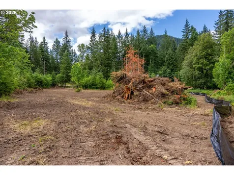 10392 Wind River Highway Carson WA 98610