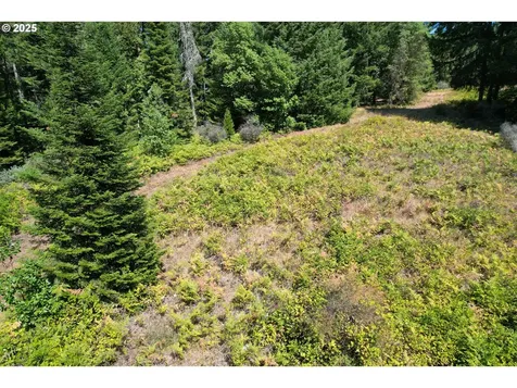 750 Ferguson Lane Days Creek OR 97429