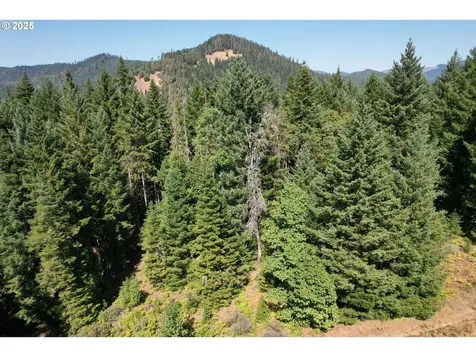 750 Ferguson Lane Days Creek OR 97429
