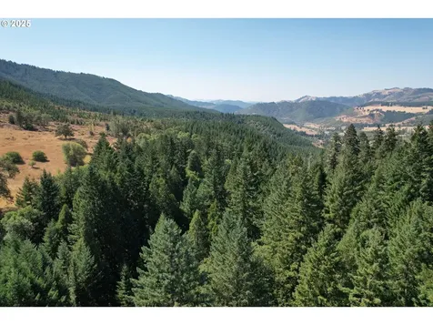 750 Ferguson Lane Days Creek OR 97429