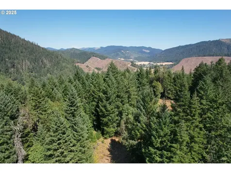 750 Ferguson Lane Days Creek OR 97429