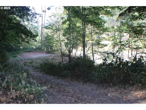 750 Ferguson Lane Days Creek OR 97429