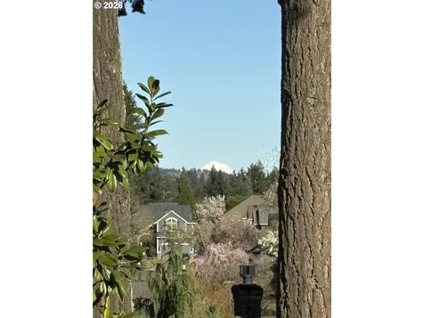 17460 SW 108th Place Tualatin OR 97062