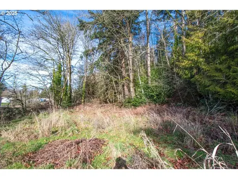 390 Juniper Street Kalama WA 98625