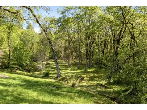 23350 NW Mt Richmond Road Yamhill OR 97148