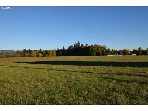 0 NE 167 Avenue Brush Prairie WA 98606