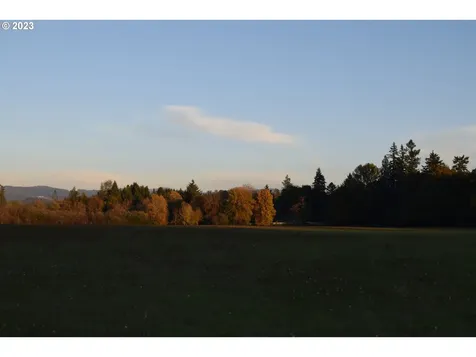 0 NE 167 Avenue Brush Prairie WA 98606
